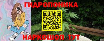 a pvp Будённовск